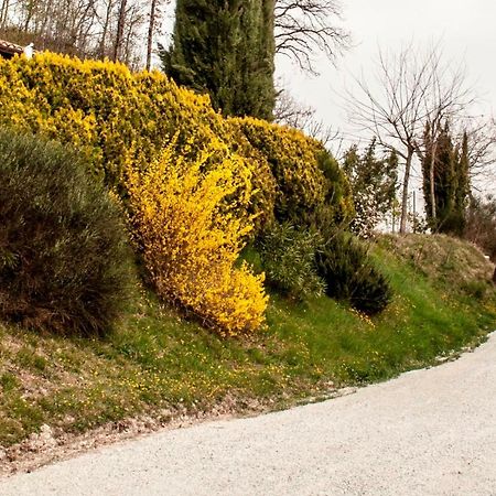 مبيت وإفطار أوربينو Calmancino Delle Selve المظهر الخارجي الصورة
