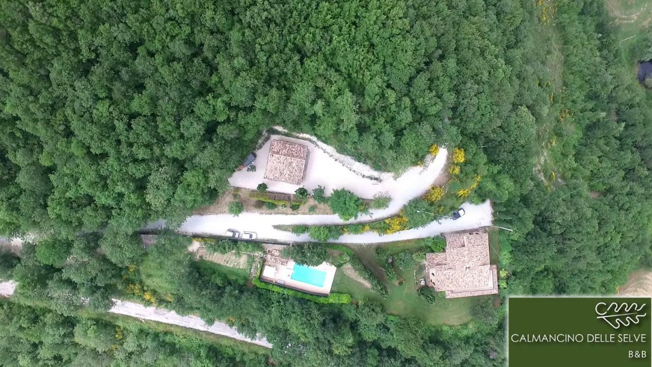 مبيت وإفطار أوربينو Calmancino Delle Selve المظهر الخارجي الصورة